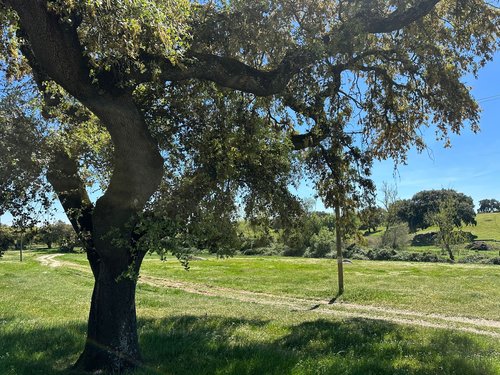 primavera_evora_mar2026