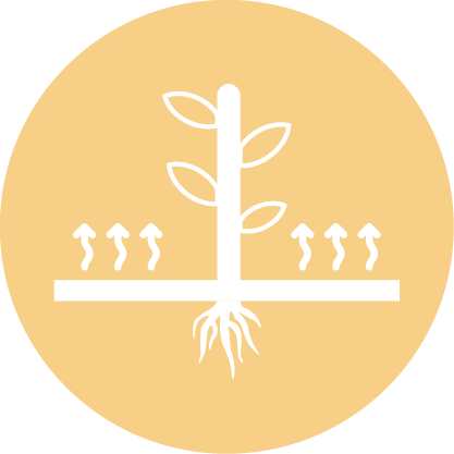 icon_dataclima_evapotranspiracao