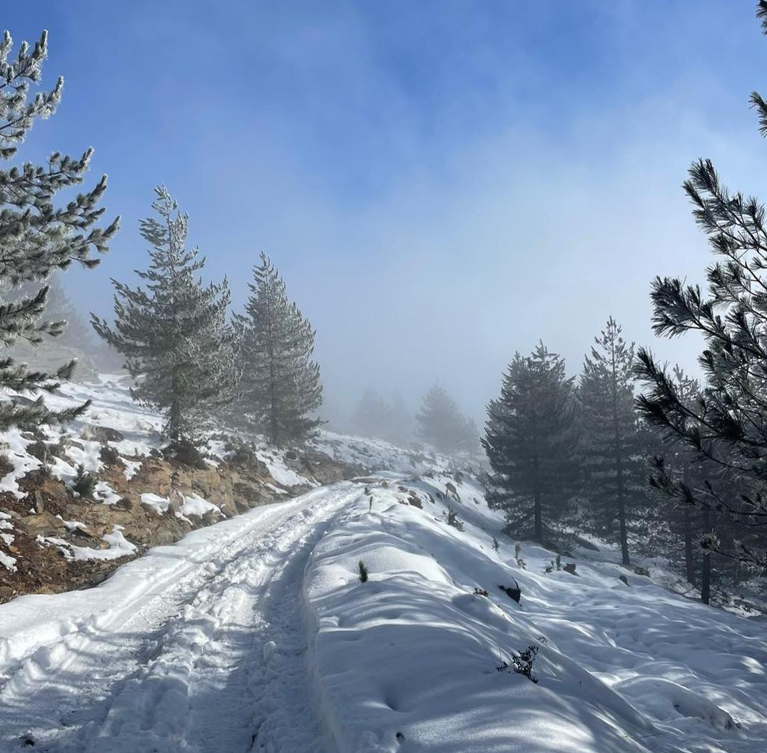 serra_marao_VReal_Paulo_Meneres_dez2025